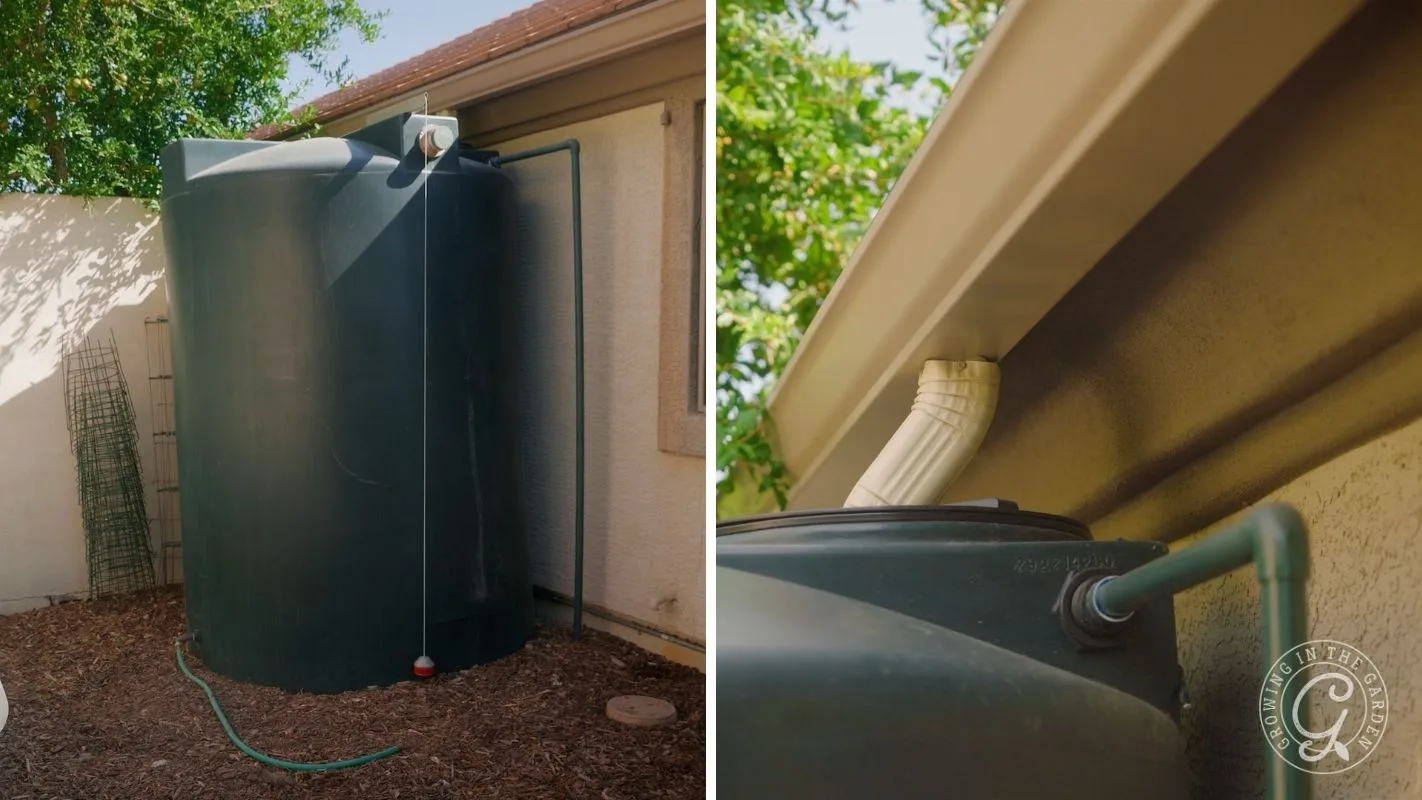 Large black rainwater tank connected to a roof gutter system beside a house, collecting rainwater.