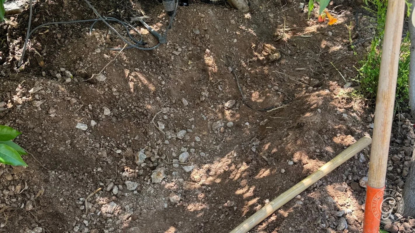 A shallow hole dug in soil with a metal rake and a wooden handle visible at the edge.