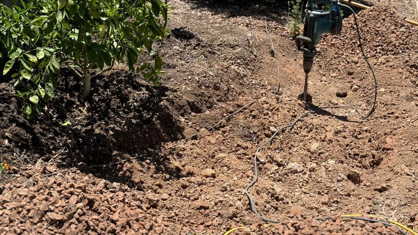 A jackhammer lies on rocky soil near a small tree in a sunlit outdoor area.