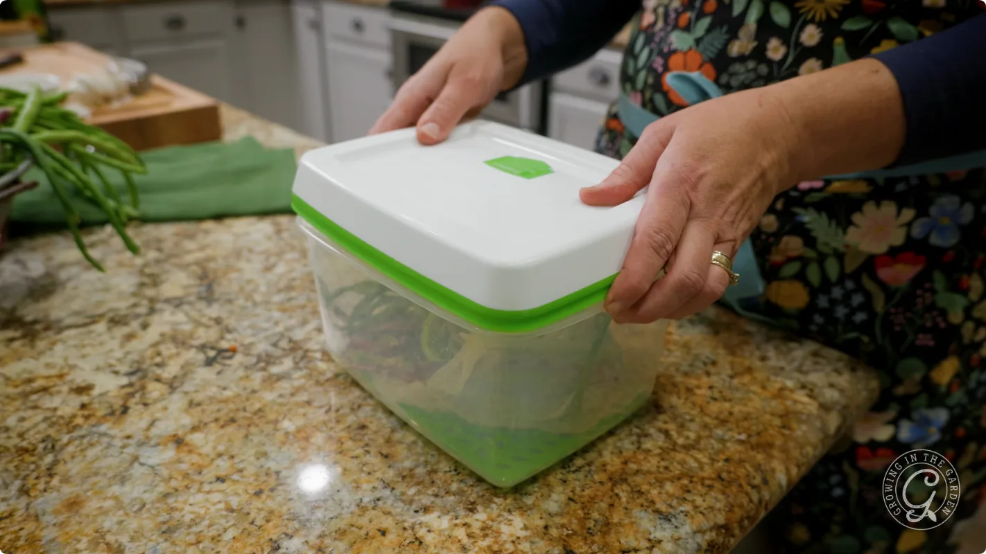 Person closing a plastic food storage container on a granite kitchen countertop.