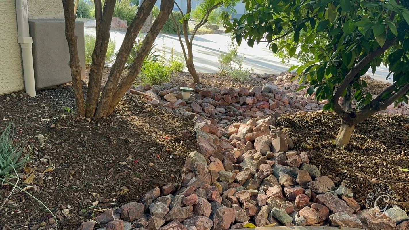A dry creek bed made of rocks winds through a landscaped yard with trees and mulch for rainwater harvesting. 