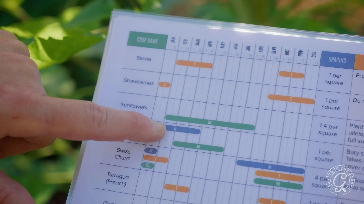 A hand points to a colorful planting chart for various crops with green plants visible in the background.