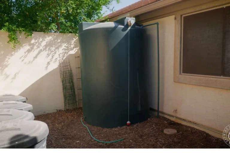 Rainwater Harvesting How-To Guide for Desert Gardens featured image