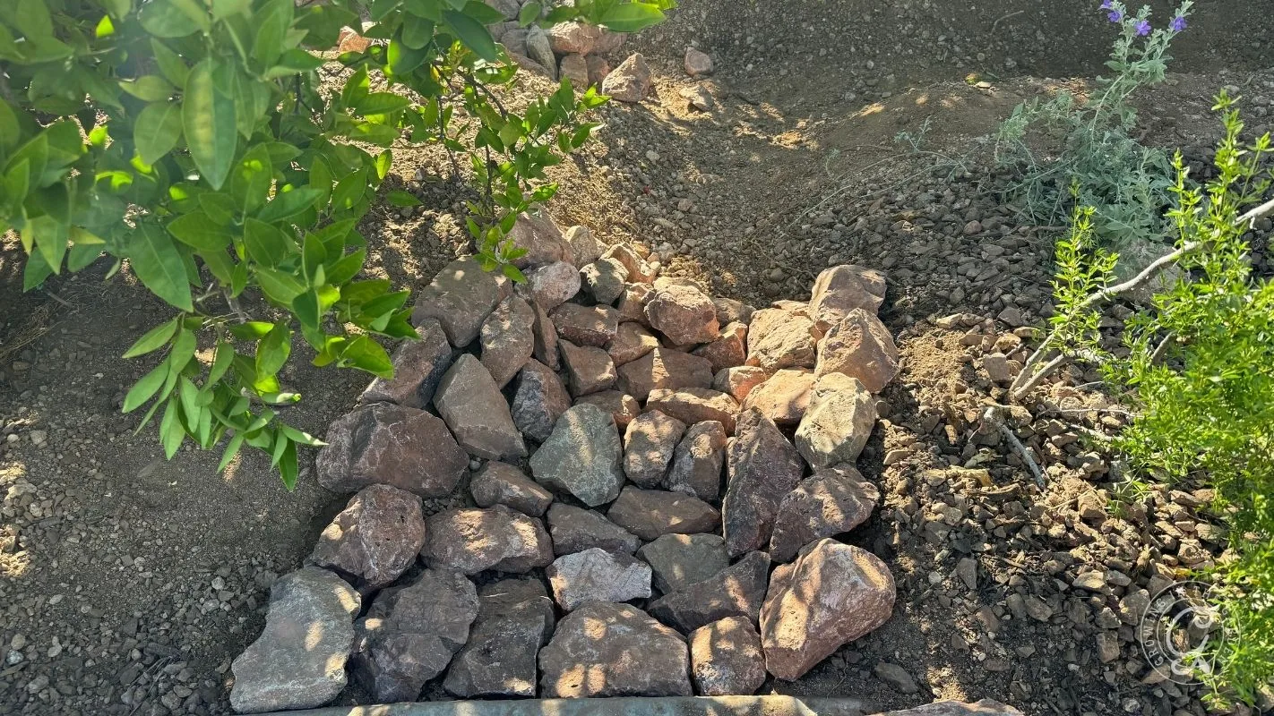 A cluster of rocks arranged on soil under the shade of green leafy plants in a garden.