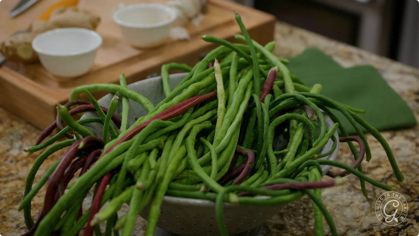 A bowl of fresh green and purple yardlong beans on a kitchen counter with a cutting board in the background.