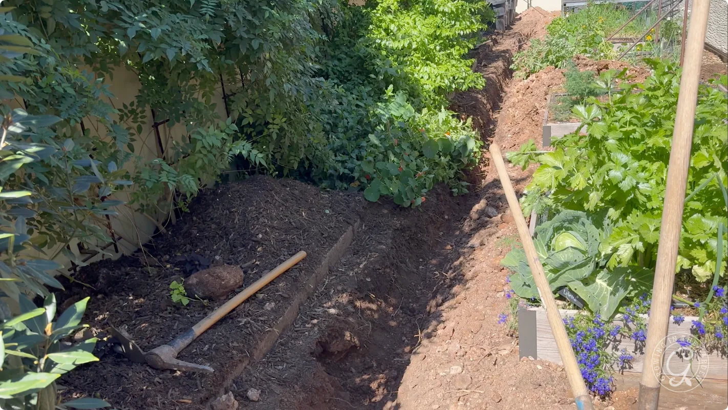 A garden with a long trench, a shovel and pickaxe on the soil, and green plants along the sides.
