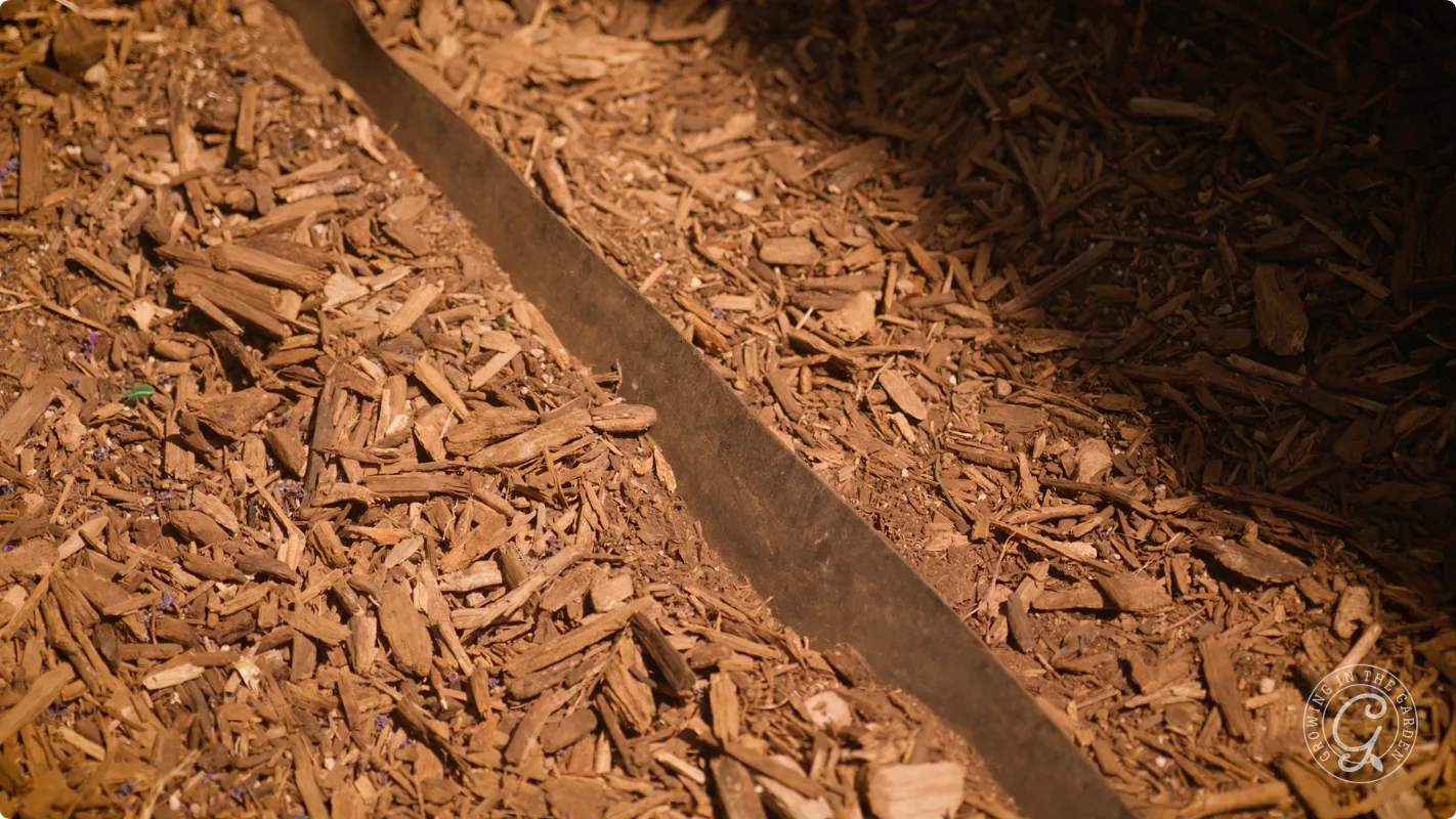 A metal divider separates two sections of brown wood mulch or bark chips on the ground.