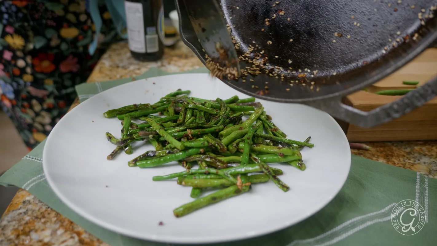 Saut&eacute;ed green beans with garlic and sesame seeds being served onto a white plate from a pan.