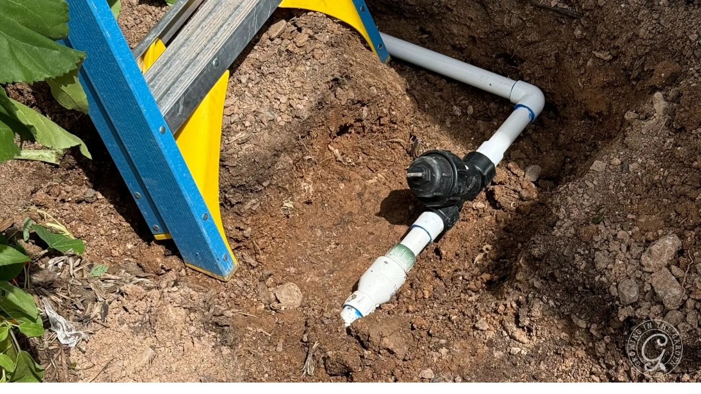 PVC irrigation pipes and a valve installed in a dirt trench next to a blue and yellow ladder.