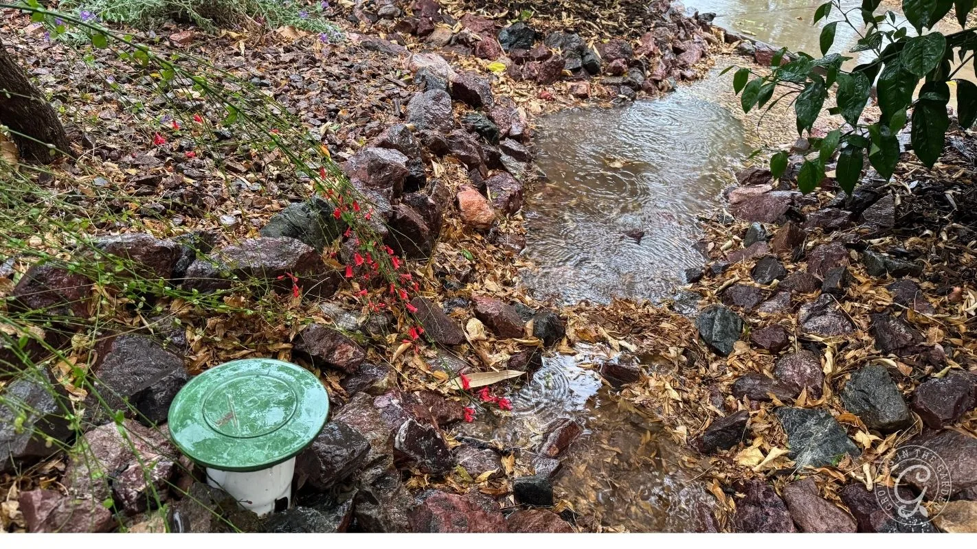 Rainwater flows over rocks and fallen leaves in a garden, with a green valve cover visible on the left.