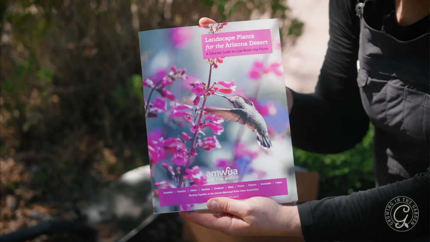 Person holds a booklet titled Landscape Plants for the Arizona Desert with a hummingbird on the cover.