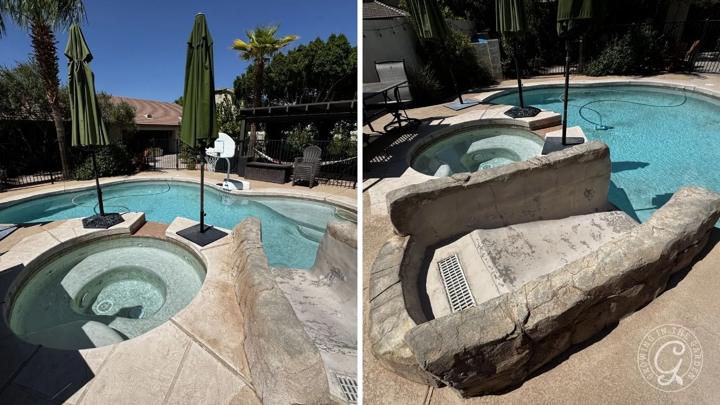 Before: Arizona backyard pool before remodel with old decking and built-in slide.