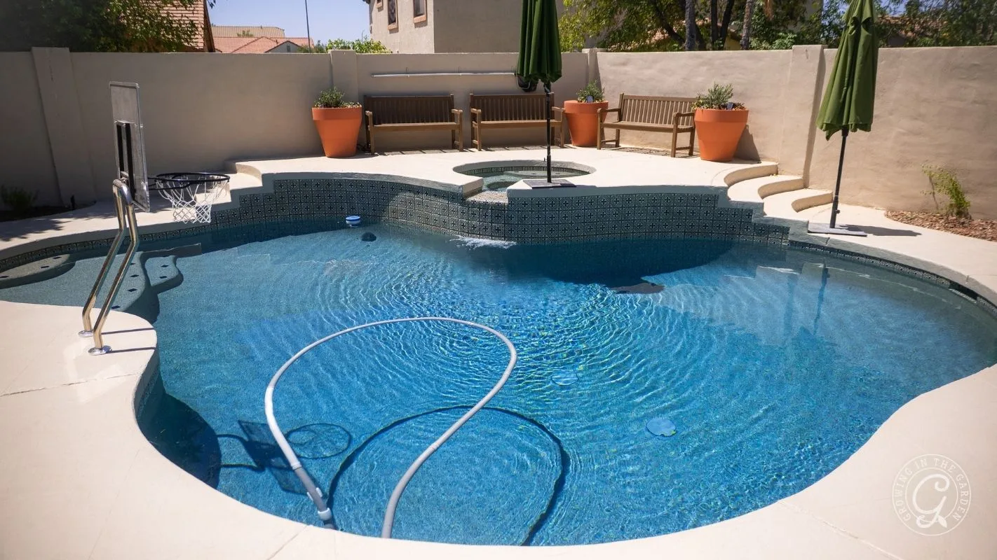 Backyard swimming pool with clear water, poolside benches, potted plants, and two green umbrellas.