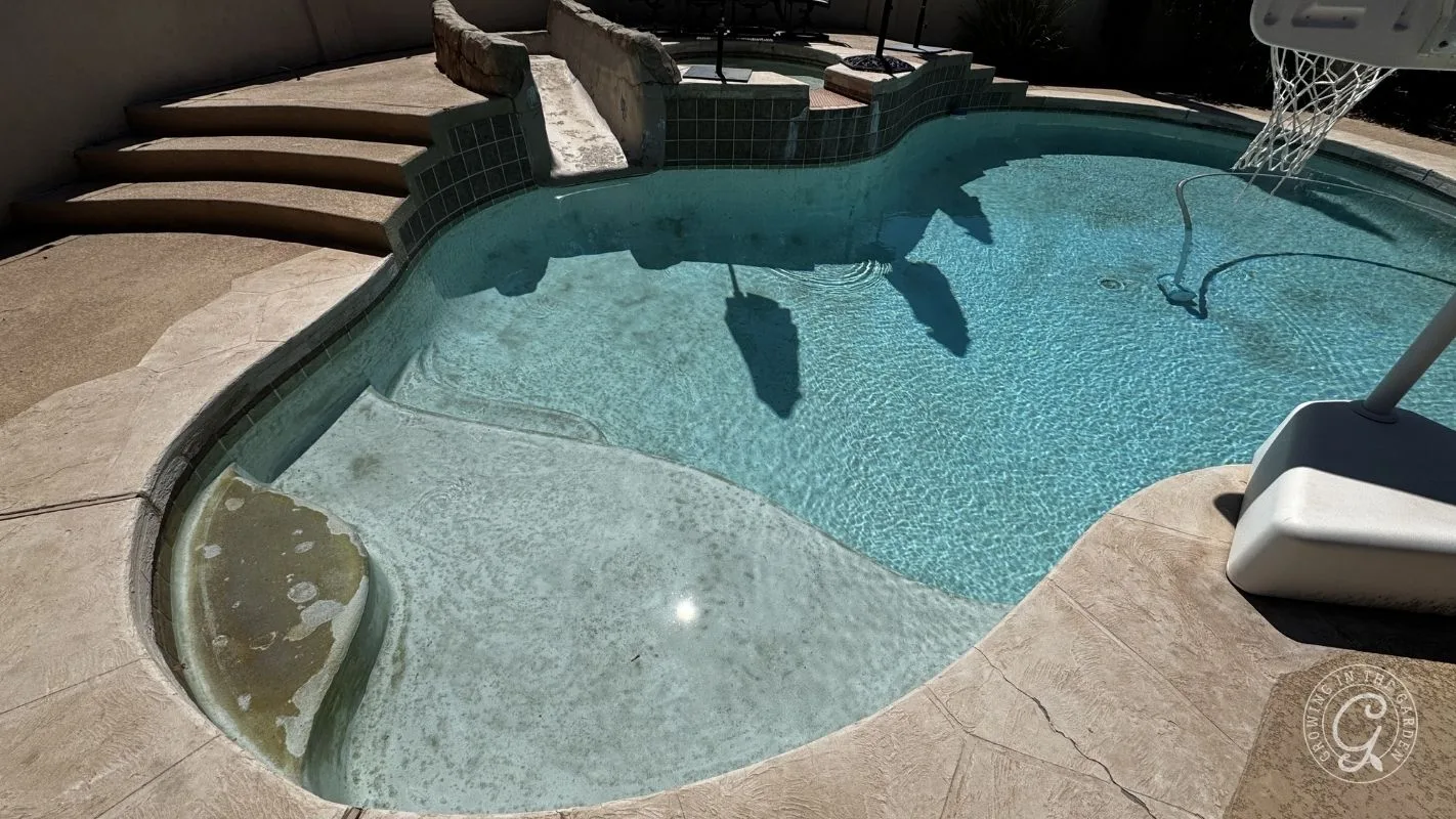 Before: Arizona backyard pool before remodel with old decking and built-in slide and cracked decking.