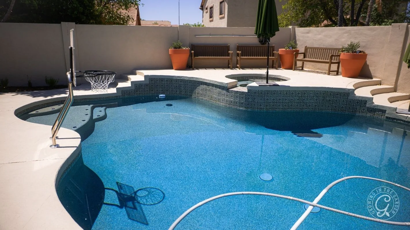 After: Pool remodel with self-watering planters and low-water plants.