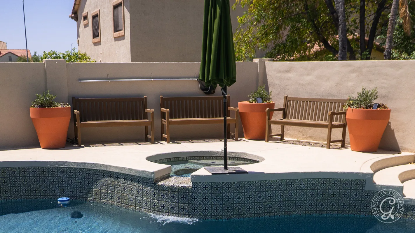 Three wooden benches and potted plants sit by a pool and hot tub, shaded by a closed green umbrella.