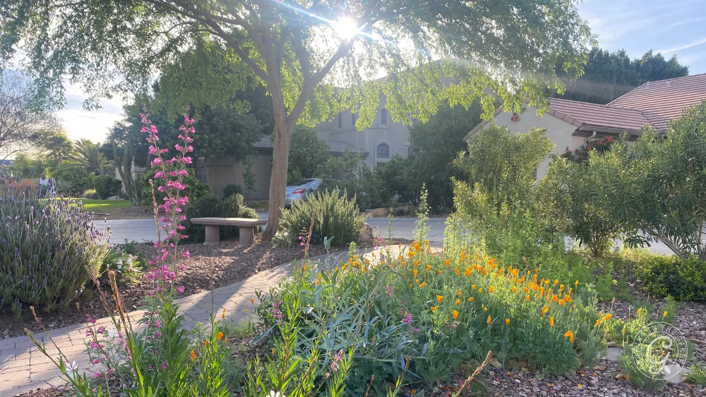 Sunlight shines over a garden with flowers, greenery, a stone bench, and houses in the background.