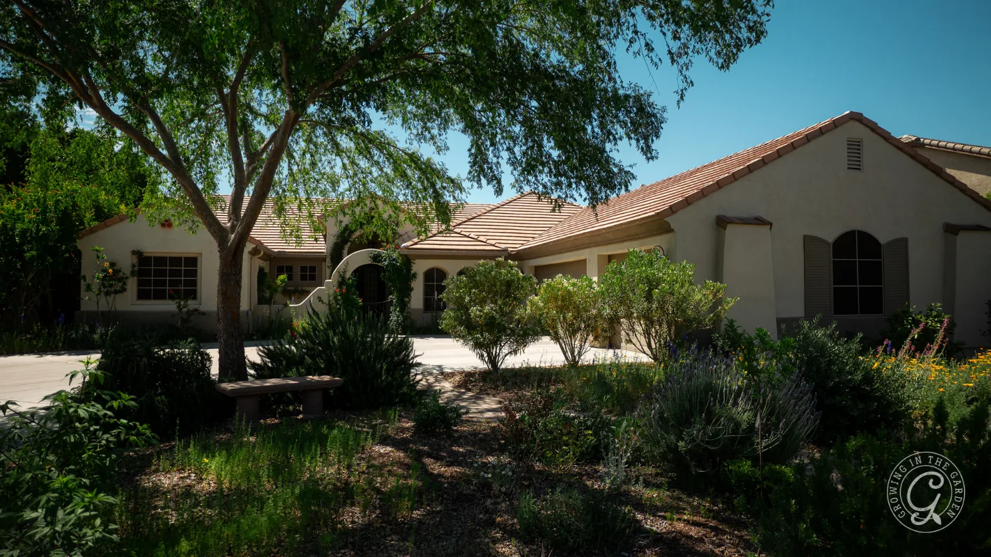 Single-story house with tile roof, surrounded by trees, bushes, and a shaded garden bench in front.