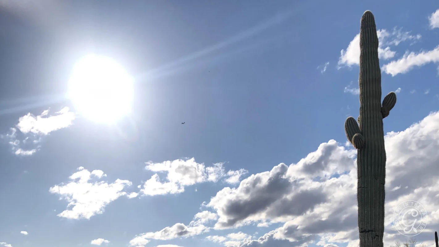 Bright sun, blue sky with clouds, and a tall cactus on the right side of the image.