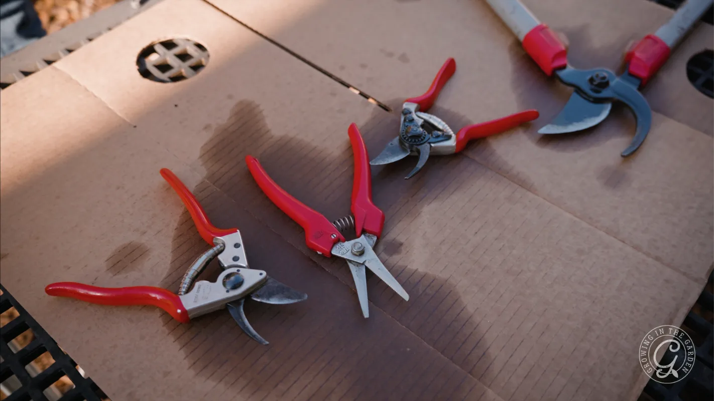Bypass hand pruners and loppers used for pruning desert shrubs