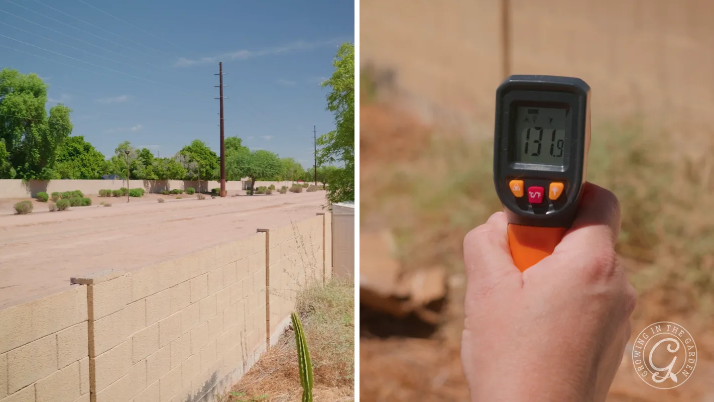 A hand holds a thermometer showing 131.9°F near a sunny street with trees and a tan brick wall.