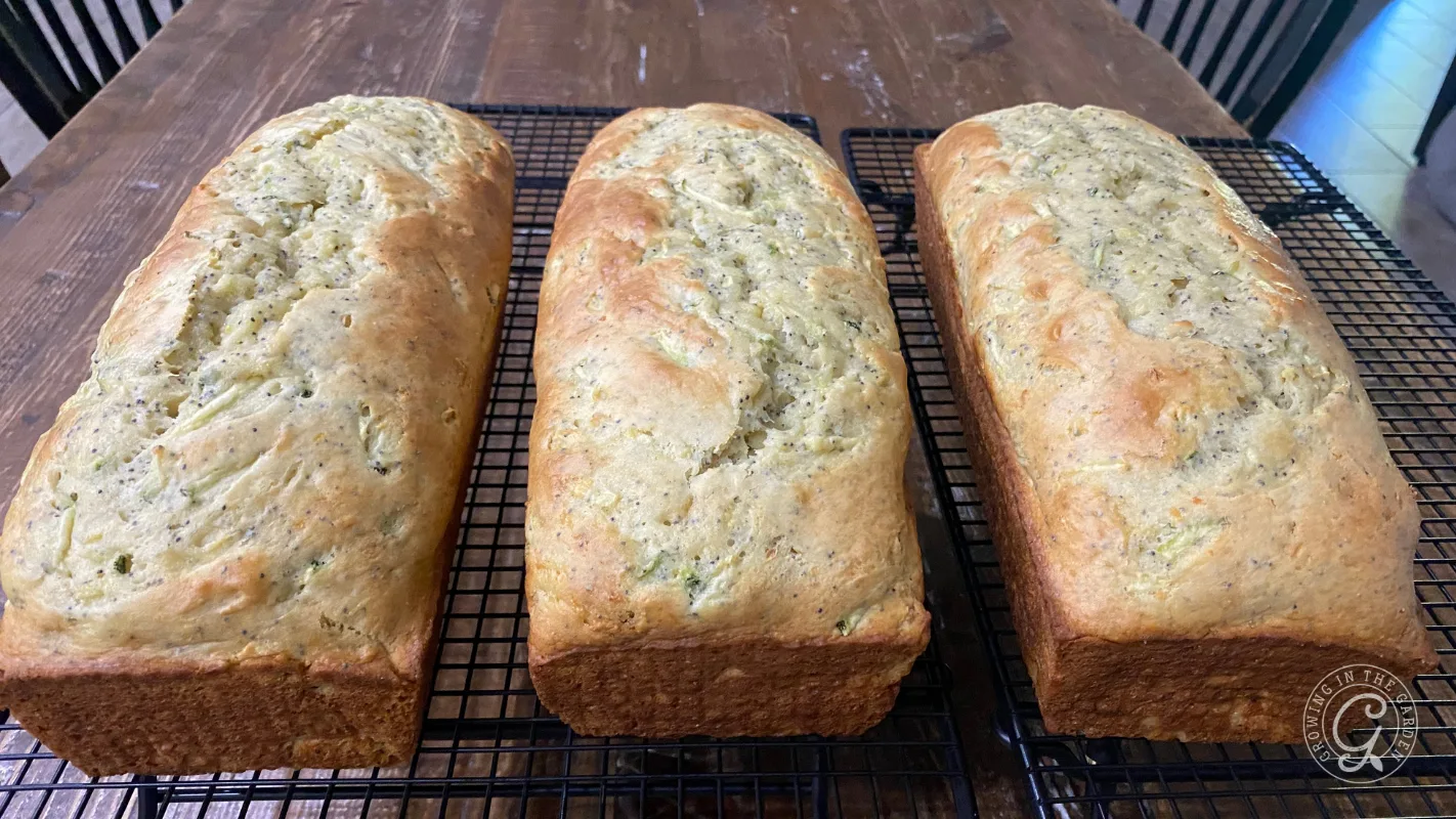 Three loaves of golden-brown zucchini bread cooling on black wire racks on a wooden table.