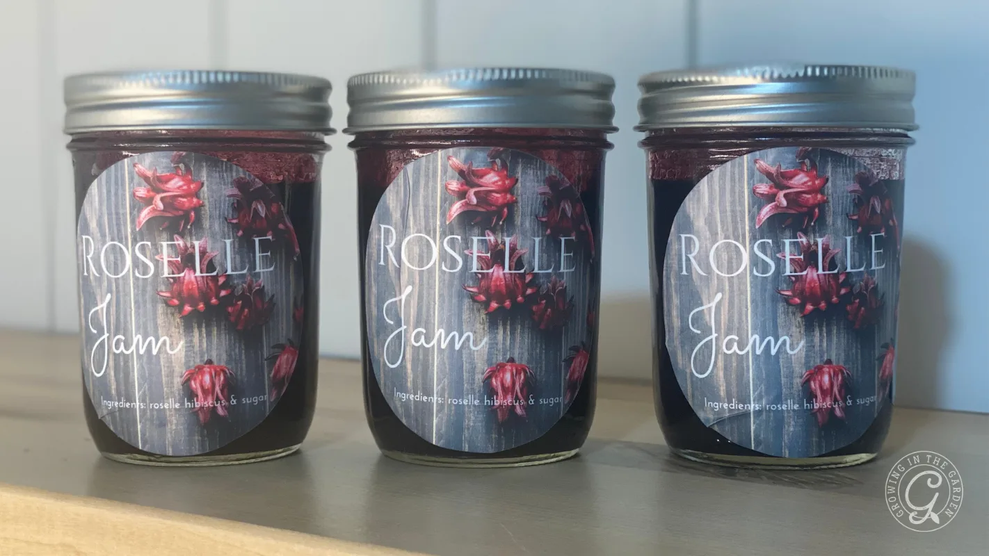 Three jars of roselle jam with silver lids, labeled Roselle Jam, on a wooden shelf.