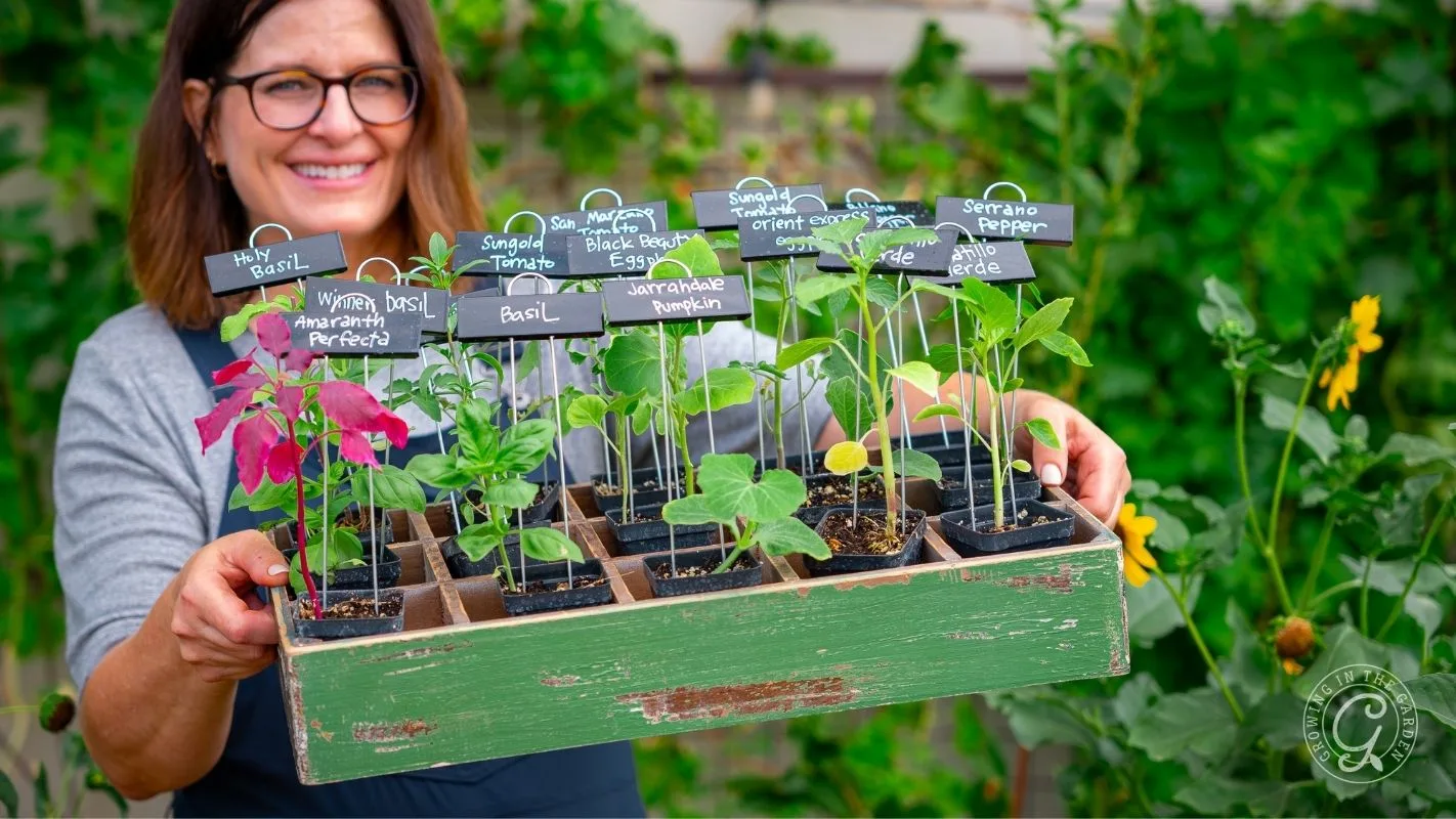 Smiling woman holds a tray of labeled seedlings in a garden, with green plants in the background.