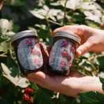 Two hands hold jars of roselle jam in front of green leafy plants with red flowers.