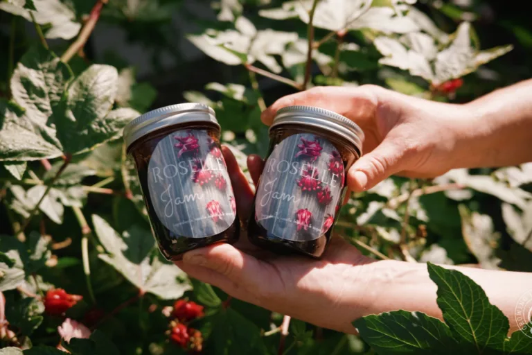 Roselle Jam Recipe: Easy Rosella Jam Without Added Pectin featured image