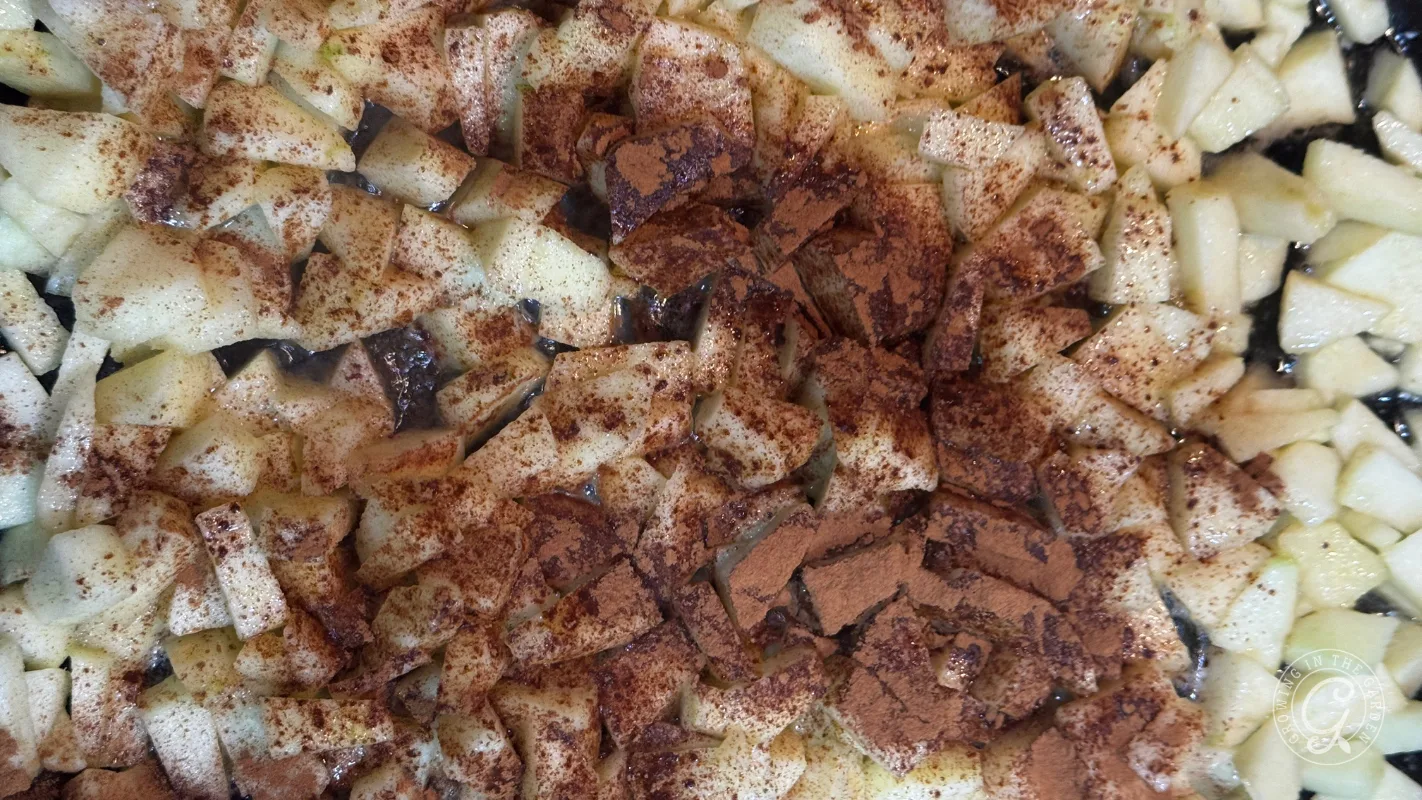 Chopped apples sprinkled with ground cinnamon, close-up view.