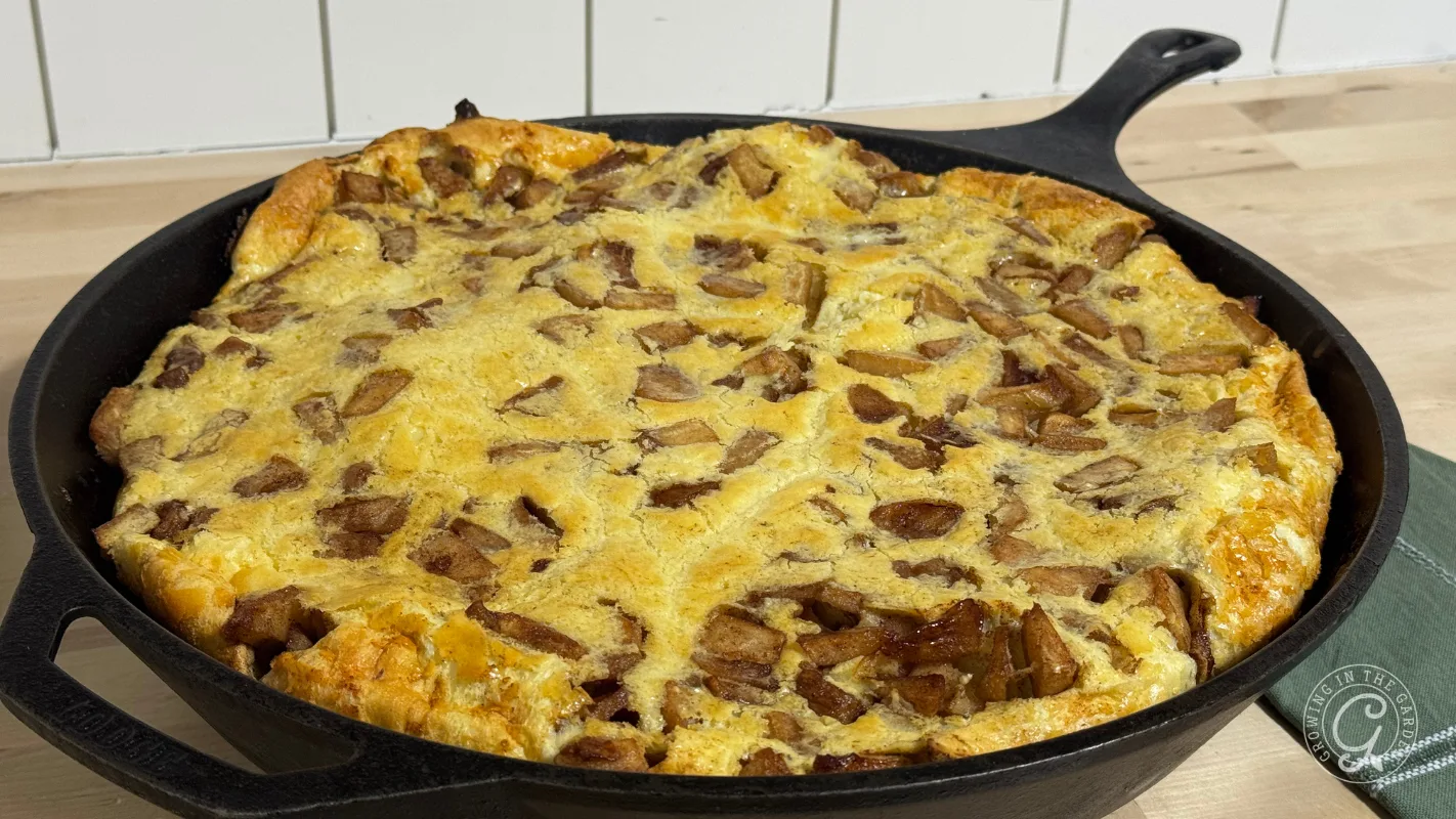 A baked apple Dutch baby pancake in a black cast iron skillet on a wooden countertop.