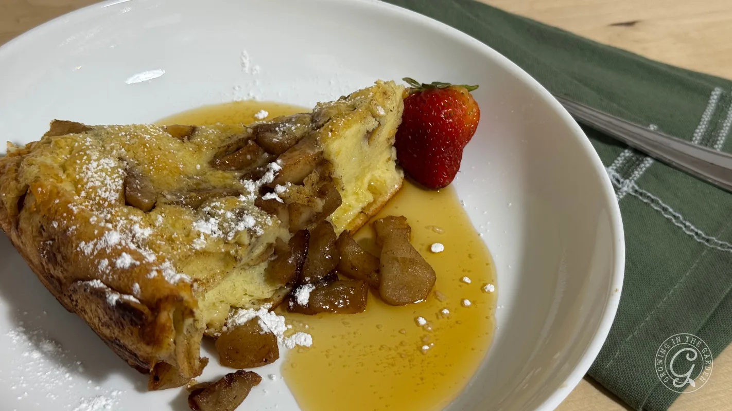 A slice of baked French toast with apples, syrup, powdered sugar, and a strawberry on a white plate.