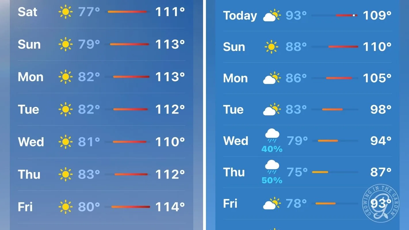 Two weather forecasts show high temperatures above 110°F on the left and cooler temps on the right.